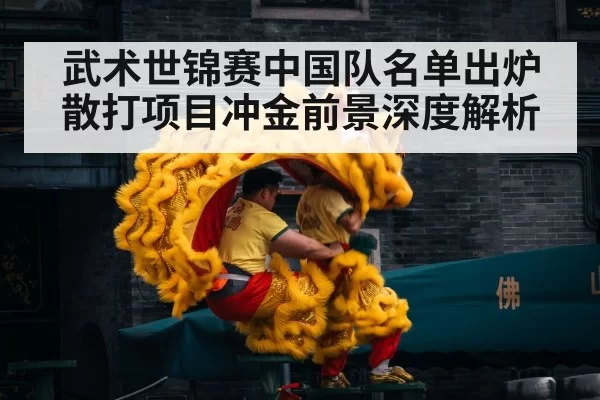 武术世锦赛中国队名单出炉散打项目冲金前景深度解析