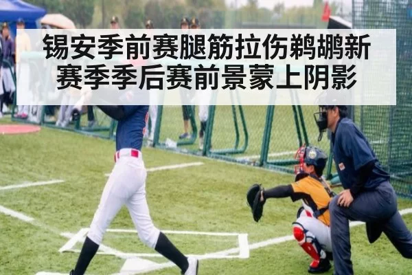 锡安季前赛腿筋拉伤鹈鹕新赛季季后赛前景蒙上阴影