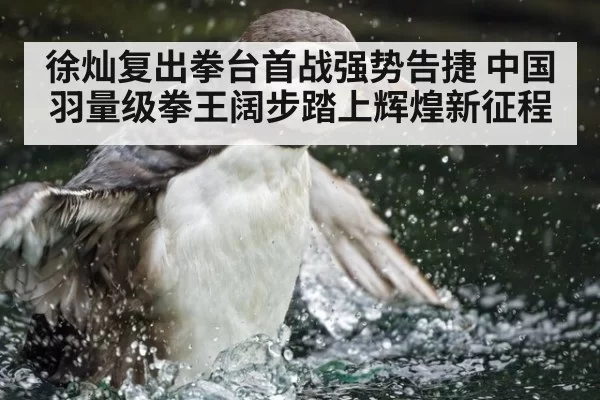 徐灿复出拳台首战强势告捷 中国羽量级拳王阔步踏上辉煌新征程
